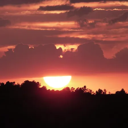 El Callejon Jaraguas