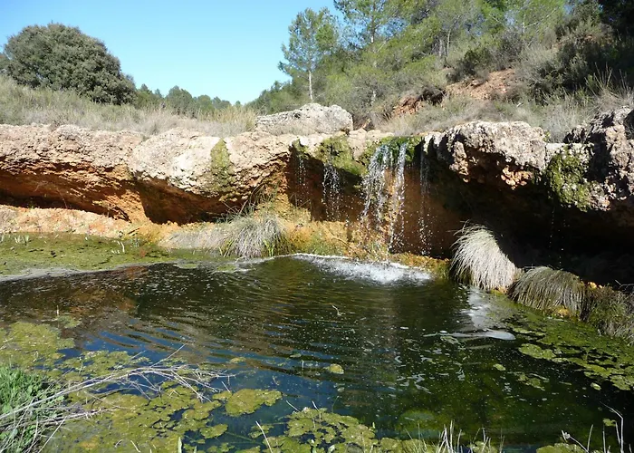 El Callejon * Jaraguas