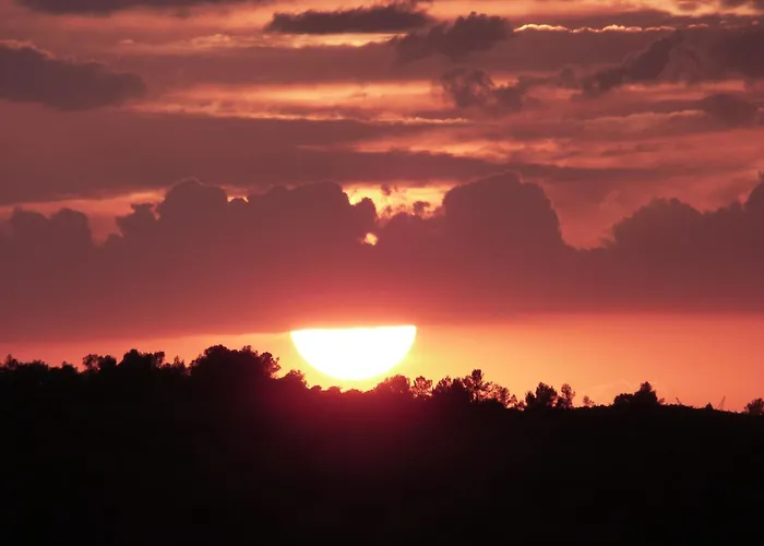 El Callejon Jaraguas